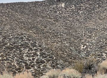 nevada/carson-city/attraction/road-sign-of-carson-city-nevada-s-capital