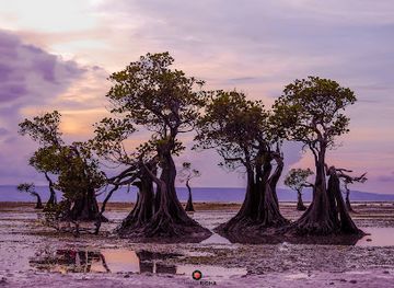 indonesia/east-nusa-tenggara/attraction/pantai-walakiri