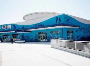 italy/venice/attraction/sea-life-lido-di-jesolo