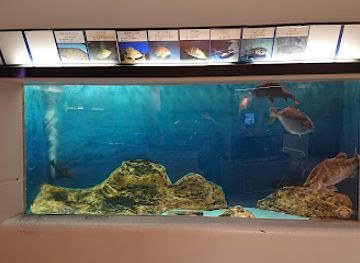 japan/bingo/attraction/sumie-family-aquarium