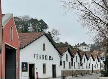 portugal/porto/attraction/caves-ferreira