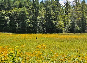 massachusetts/mohawk-trail-state-forest/attraction/mass-audubon-s-west-mountain-wildlife-sanctuary