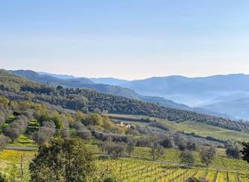 italy/florence/attraction/fattoria-lavacchio-bio-winery