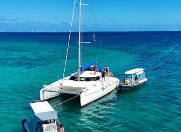 new-caledonia/noumea/attraction/dal-ocean-charter