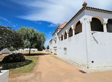 portugal/ribatejo/attraction/casa-dos-patudos-museu-de-alpiarca