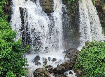 rwanda/gishwati-mukura-national-park/attraction/cyuve-waterfall