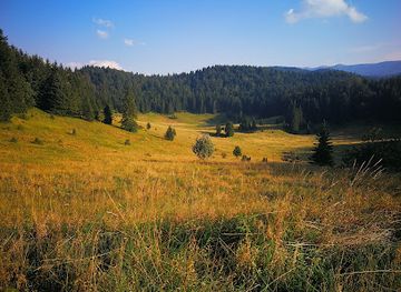 bosnia-and-herzegovina/bjelasnica-mountain/attraction/lokavski-cairi