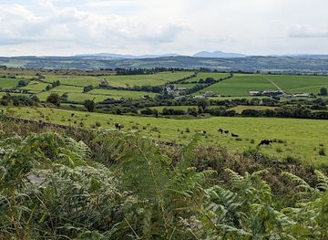 ireland/the-kerry-way/attraction/kerryscenicplatform