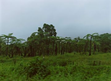 samoa/lalomanu/attraction/uafato-tiavea-conservation-zone