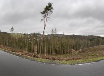 germany/westerwald/attraction/westerwald-kinder-kammerforst