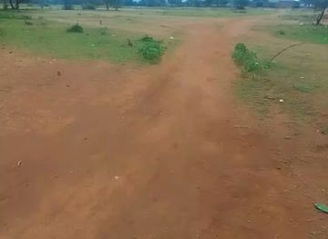 kenya/amboseli-national-park/attraction/kenya-wildlife-service-kajiado