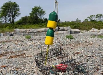 massachusetts/boston/attraction/lovells-island