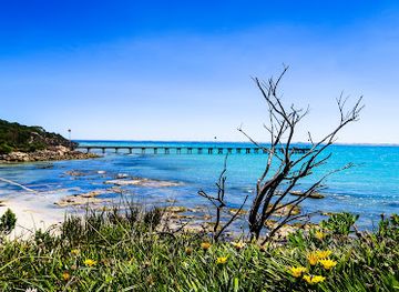 australia/limestone-coast/attraction/bowman-scenic-drive