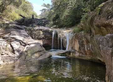 bolivia/amboro-national-park/attraction/espejillos