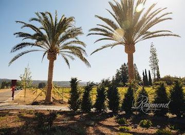 california/napa/attraction/raymond-vineyards