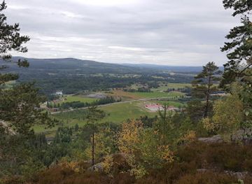 sweden/dalarna/attraction/djurmoklack