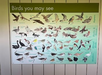 jersey/st-clement/attraction/bird-hide