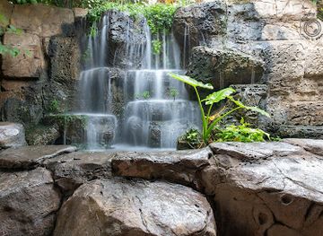 kuwait/bubiyan-island/attraction/kuwait-zoo