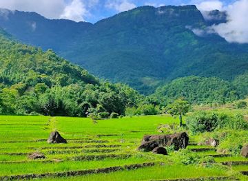 india/northeast-india/attraction/ntanki-national-park