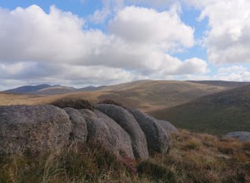 ireland/mourne-mountains/attraction/tornamrock