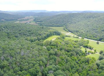 alabama/appalachian-mountains/attraction/cathedral-caverns-state-park