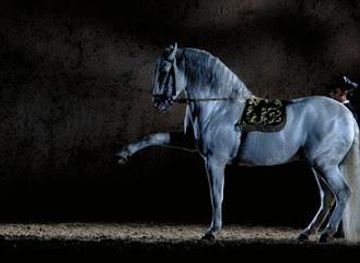 spain/cadiz/attraction/royal-andalusian-school-of-equestrian-art