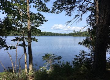 maine/mount-desert-island/attraction/somes-meynell-wildlife-sanctuary