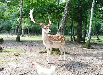 france/rhone-alpes/attraction/chambaran-natural-park