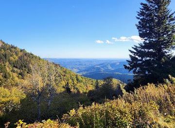 north-carolina/asheville/attraction/black-balsam-knob