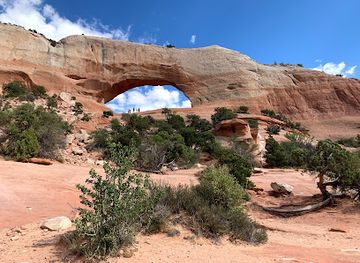 utah/canyonlands-national-park/attraction/wilson-arch