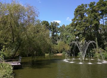 texas/the-woodlands/attraction/tamarac-park-of-the-woodlands