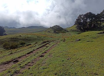 india/valley-of-flowers-national-park/attraction/auli-trekking-route-point-4