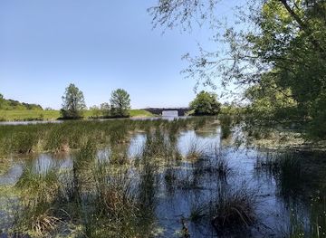 mississippi/ross-barnett-reservoir/attraction/simmons-arboretum