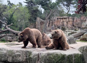 spain/madrid-community/attraction/zoo-aquarium-de-madrid