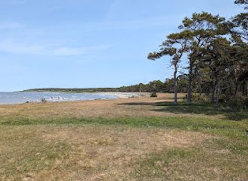 sweden/gotaland/attraction/hall-hangvar-naturreservat