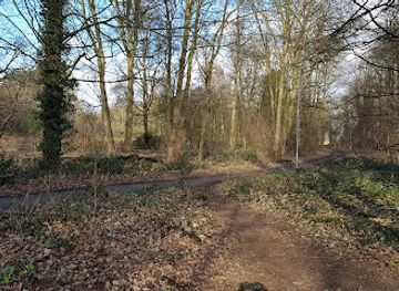 united-kingdom/northamptonshire/attraction/lings-wood-nature-reserve