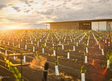 california/lodi/attraction/m2-wines