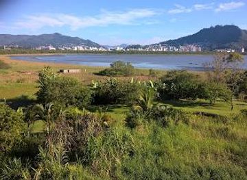 brazil/florianopolis/attraction/manguezal-do-itacorubi