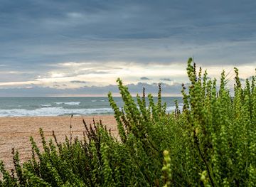 florida/first-coast/attraction/mickler-beach