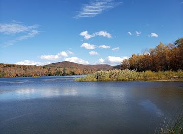 vermont/upper-valley/attraction/gifford-woods-state-park