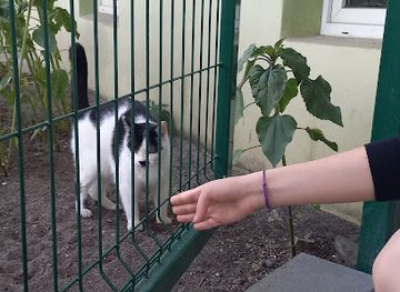 poland/bydgoszcz/bartodzieje/attraction/kot-adolf-kitler