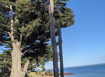 australia/mornington-peninsula/attraction/the-esplanade