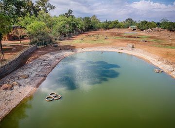 south-africa/free-state/attraction/bloemfontein-zoo