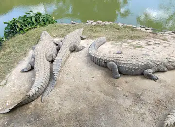 Croc Farm Conservatoire Botanique de Madagascar