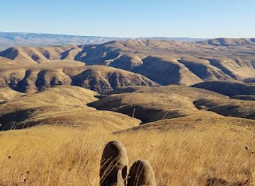 washington/the-blue-mountains/attraction/umtanum-ridge