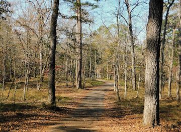 texas/piney-woods/attraction/palestine-visitor-center