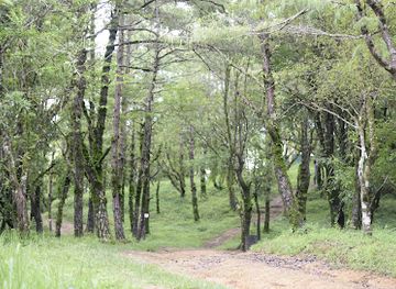 india/mizoram/attraction/theiriat-tlang