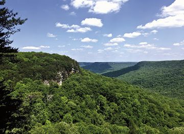 tennessee/highland-rim/attraction/savage-gulf-state-natural-area