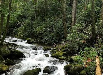 tennessee/knoxville/attraction/roaring-fork-motor-nature-trail