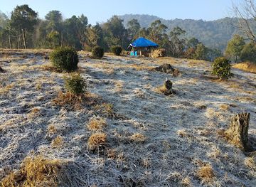 india/northeast-india/attraction/buning-meadow